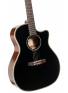 Essence-GA4 (Black Top Semi Gloss), зображення 2